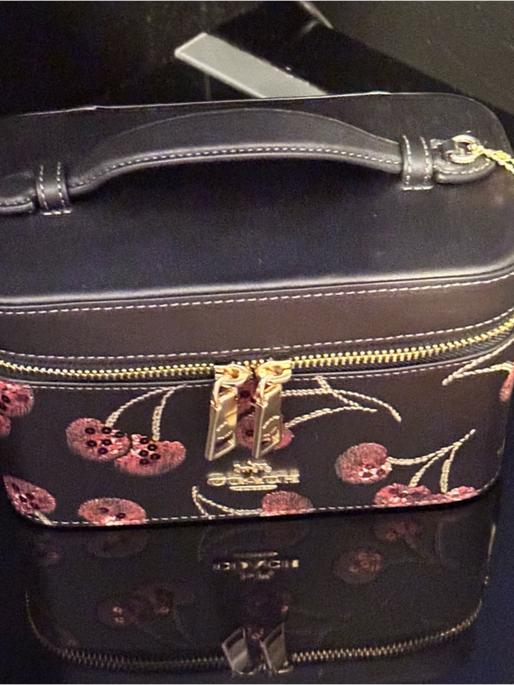 Never Worn Coach Black Cherry Embellished Top-Handle Cosmetic Case